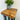 Rustic Canadian Pine Side Table