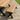 Woodland Iroko Outdoor Bench